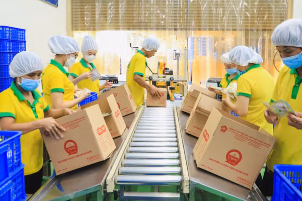 Tái cấu trúc trong bối cảnh mới là yêu cầu tất yếu để doanh nghiệp nâng cao sức chống chịu và phát triển bền vững. (Ảnh: QUANG QUÝ)
