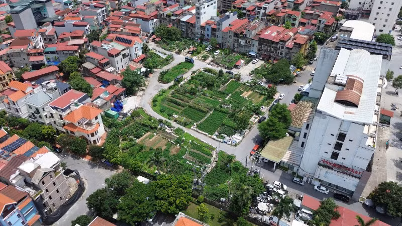 Do vướng mắc trong quá trình xử lý, dự án bị bỏ hoang gần 25 năm gây bức xúc, khiếu kiện kéo dài trong nhân dân, được người dân trong khu vực tận dụng trồng rau.