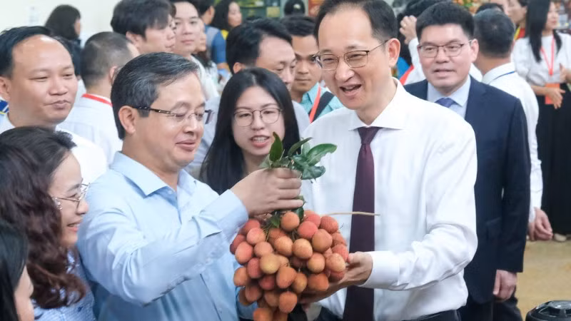 Chủ tịch Ủy ban nhân dân tỉnh Bắc Ninh Phạm Hoàng Sơn (áo xanh thứ hai từ trái sang) giới thiệu sản phẩm vải thiều với các đại biểu quốc tế.