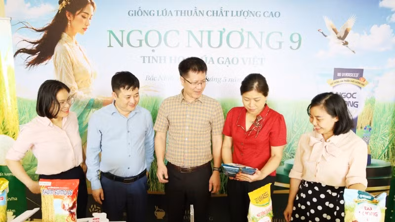dai-bieu-tham-quan-ngoc-nuong-9-7540.jpg
