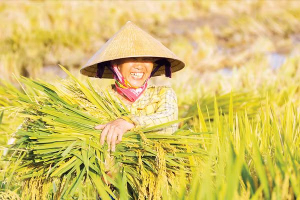 Niềm vui được mùa. (Ảnh: ĐÌNH ÁNH)