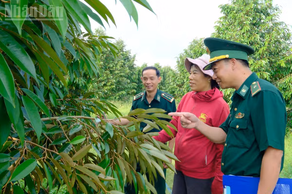 Bộ đội Biên phòng Đồng Nai giúp nhân dân xã Tân Tiến phát triển kinh tế. (Ảnh: NS)