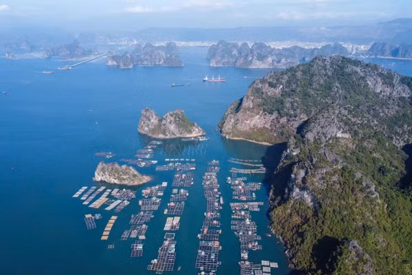 Thành phố Quảng Ninh đẩy mạnh các sản phẩm du lịch xanh, du lịch cao cấp, kinh tế đêm và liên kết các điểm đến. (Ảnh: THẾ ĐẠI)