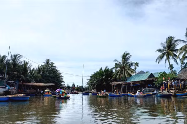 Hệ sinh thái ngập nước ven biển Đà Nẵng.