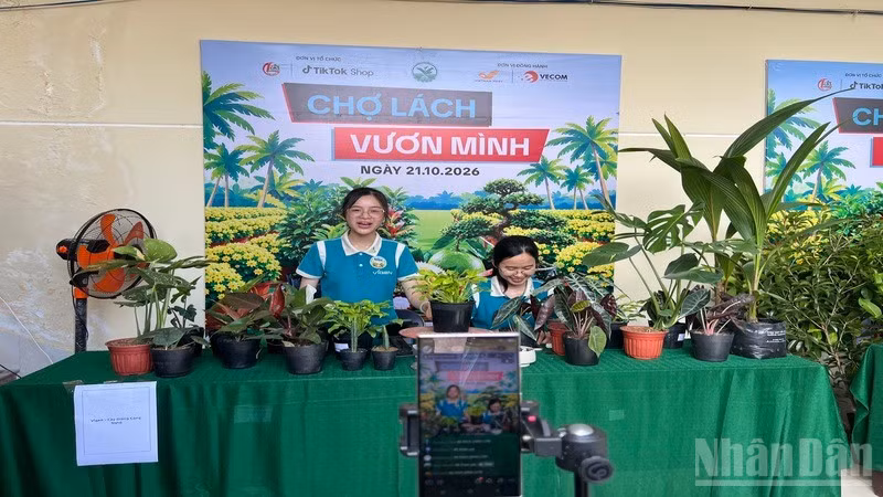 Người dân livestream quảng bá sản phẩm cây giống Chợ Lách. (Ảnh: HOÀNG TRUNG)