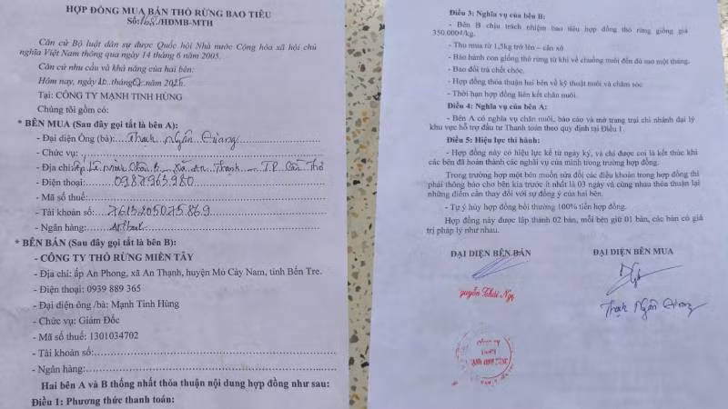 Công ty Trách nhiệm hữu hạn Mạnh Tinh Hùng đã giải thể nhưng vẫn ký hợp đồng tiêu thụ với nông dân. (Ảnh: HOÀNG TRUNG)