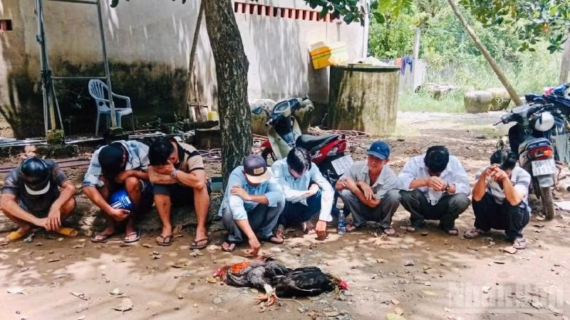 ndo_br_cong-an-xa-triet-pha-tu-diem-da-ga-an-thua-bang-tien.jpg