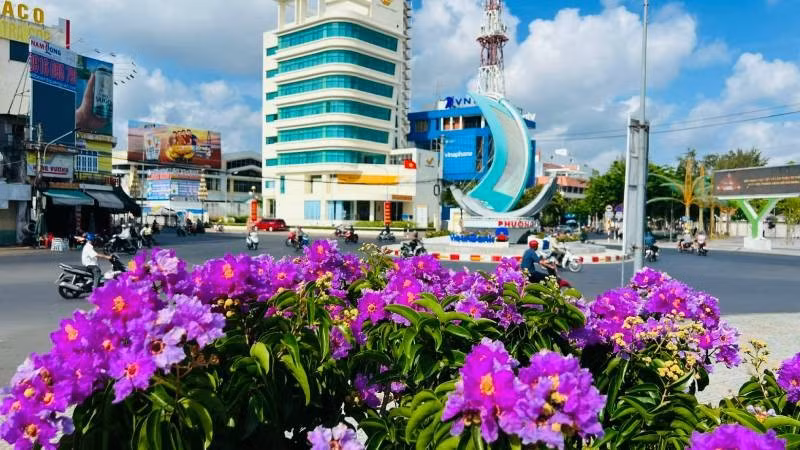 Trung tâm đô thị phường An Hội (tỉnh Vĩnh Long) rực rỡ trong sắc hoa tím bằng lăng.