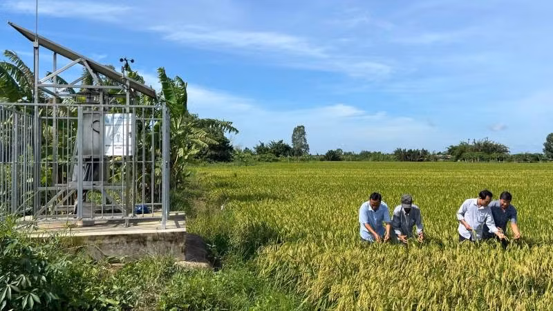 Ngành nông nghiệp và môi trường tỉnh Vĩnh Long phấn đấu tăng trưởng 3,2% trong năm 2026. (Ảnh: HOÀNG TRUNG)