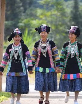 Bố Y