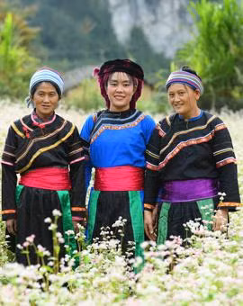 Cờ Lao