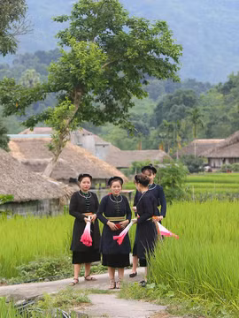 Tày