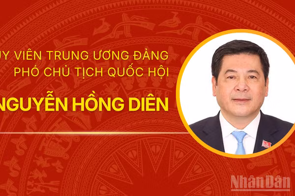 [Infographic] Tiểu sử Phó Chủ tịch Quốc hội Nguyễn Hồng Diên