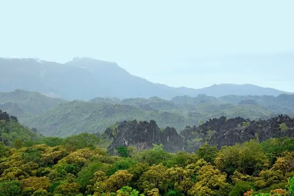 Còn nhiều khó khăn trong công tác quản lý, bảo vệ rừng. (Ảnh: HẠNH VÂN)
