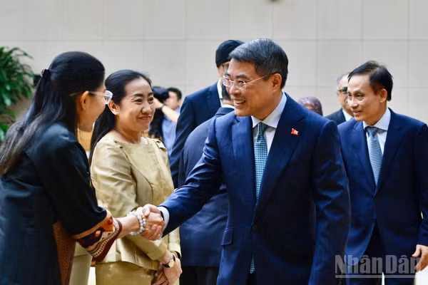 Thủ tướng Chính phủ Lê Minh Hưng chào mừng Đại sứ, Đại biện các nước ASEAN. (Ảnh: THANH GIANG)