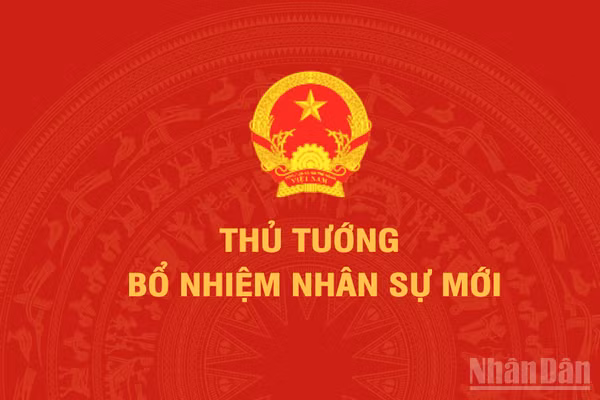 Thủ tướng điều động, bổ nhiệm nhân sự 4 bộ, cơ quan