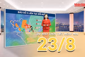 [Video] Dự báo thời tiết đêm nay và ngày mai 23/8/2026: Bão số 4 duy trì cấp 8, Bắc Bộ tiếp tục mưa lớn