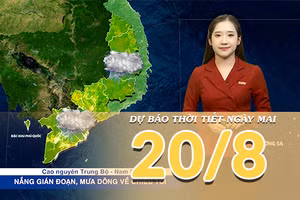 [Video] Dự báo thời tiết đêm nay và ngày mai 20/8/2026: Áp thấp nhiệt đới có thể mạnh thêm, Bắc Bộ và Bắc Trung Bộ mưa lớn 