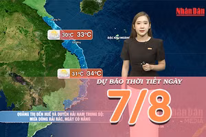 [Video] Dự báo thời tiết ngày 7/8/2026: Bắc Bộ dần giảm mưa, Cao nguyên Trung Bộ và Nam Bộ tiếp tục mưa dông về chiều tối