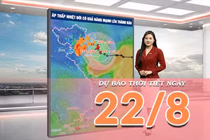 [Video] Dự báo thời tiết ngày 22/8/2026: Tâm điểm đợt mưa lớn tập trung tại Bắc Bộ, cảnh giác với nguy cơ ngập úng, lũ quét