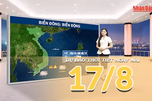 [Video] Dự báo thời tiết đêm nay và ngày mai 17/8/2026: Bắc Bộ đón mưa lớn, Trung Bộ nắng nóng 