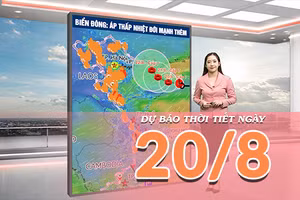 [Video] Dự báo thời tiết ngày 20/8/2026: Áp thấp nhiệt đới gây biển động, Bắc Bộ và Bắc Trung Bộ mưa lớn