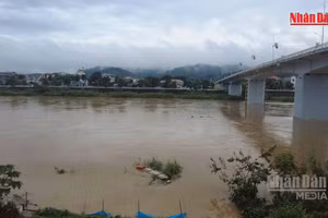 [Video] Cảnh báo lũ trên các sông khu vực Bắc Bộ và từ Thanh Hóa đến Quảng Trị