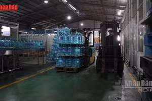 [Video] Hơn 325.000 doanh nghiệp bỏ địa chỉ đăng ký bị yêu cầu thu hồi giấy phép