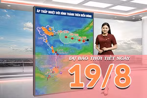 [Video] Dự báo thời tiết ngày 19/8/2026: Áp thấp nhiệt đới gây sóng lớn, Bắc Bộ và Trung Bộ mưa trên diện rộng