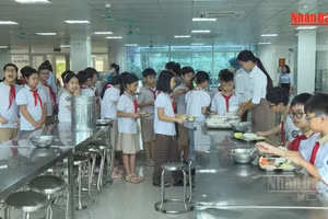 [Video] Hà Nội giao xã, phường lựa chọn đơn vị cung cấp thực phẩm cho bếp ăn bán trú