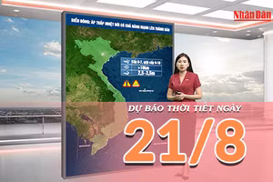 [Video] Dự báo thời tiết ngày 21/8/2026: Bão có khả năng hình thành trên Vịnh Bắc Bộ, Bắc Bộ và Bắc Trung Bộ mưa lớn 