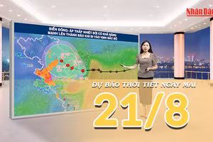 [Video] Dự báo thời tiết đêm nay và ngày mai ngày 21/8/2026: Áp thấp nhiệt đới có khả năng mạnh lên thành bão, Bắc Bộ mưa lớn 