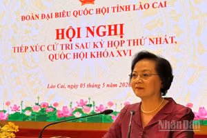 Phó Thủ tướng Phạm Thị Thanh Trà phát biểu tại buổi tiếp xúc cử tri. (Ảnh: THANH SƠN)