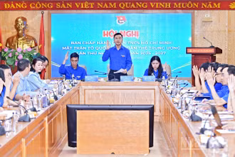Các đại biểu biểu quyết thông qua một số nội dung làm việc tại hội nghị.