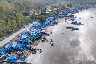 Đến thời điểm này, nhiều chủ tàu phân loại thiệt hại thành 3 nhóm: nhóm hư hại hoàn toàn không thể sửa chữa, nhóm tàu lớn, hư hại nhẹ nhưng đã mắc cạn, chưa có phương án giải quyết và nhóm những tàu có thể sửa chữa, đợi thông tuyến đường để xe cẩu tới vận chuyển đến các cơ sở sửa chữa tàu.