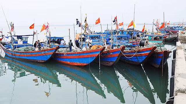 Nắng sớm trên biển Lộc Hà ảnh 6 Nắng sớm trên biển Lộc Hà ảnh 6