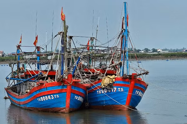 Phương tiện nghề cá neo đậu sâu trong lạch Ghép.