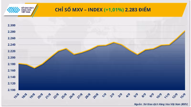 mxv-index-11-9645.png