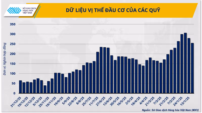 anh-3-du-lieu-vi-the-dau-co-cua-cac-quy-8286.png