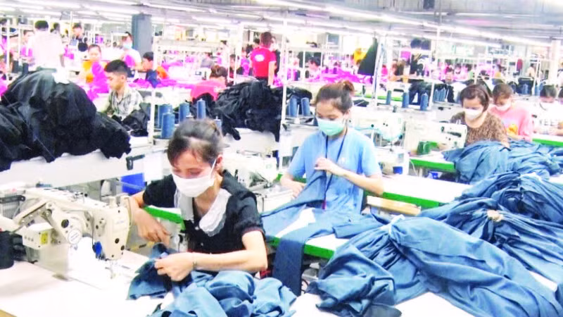 Công nhân may tại Công ty cổ phần Tập đoàn Tiên Sơn Thanh Hóa.