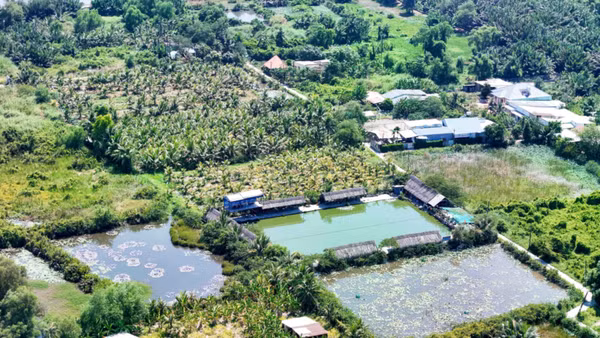 Đất nông nghiệp tại khu vực bán đảo Thanh Đa, Thành phố Hồ Chí Minh. (Ảnh: THẾ ANH)