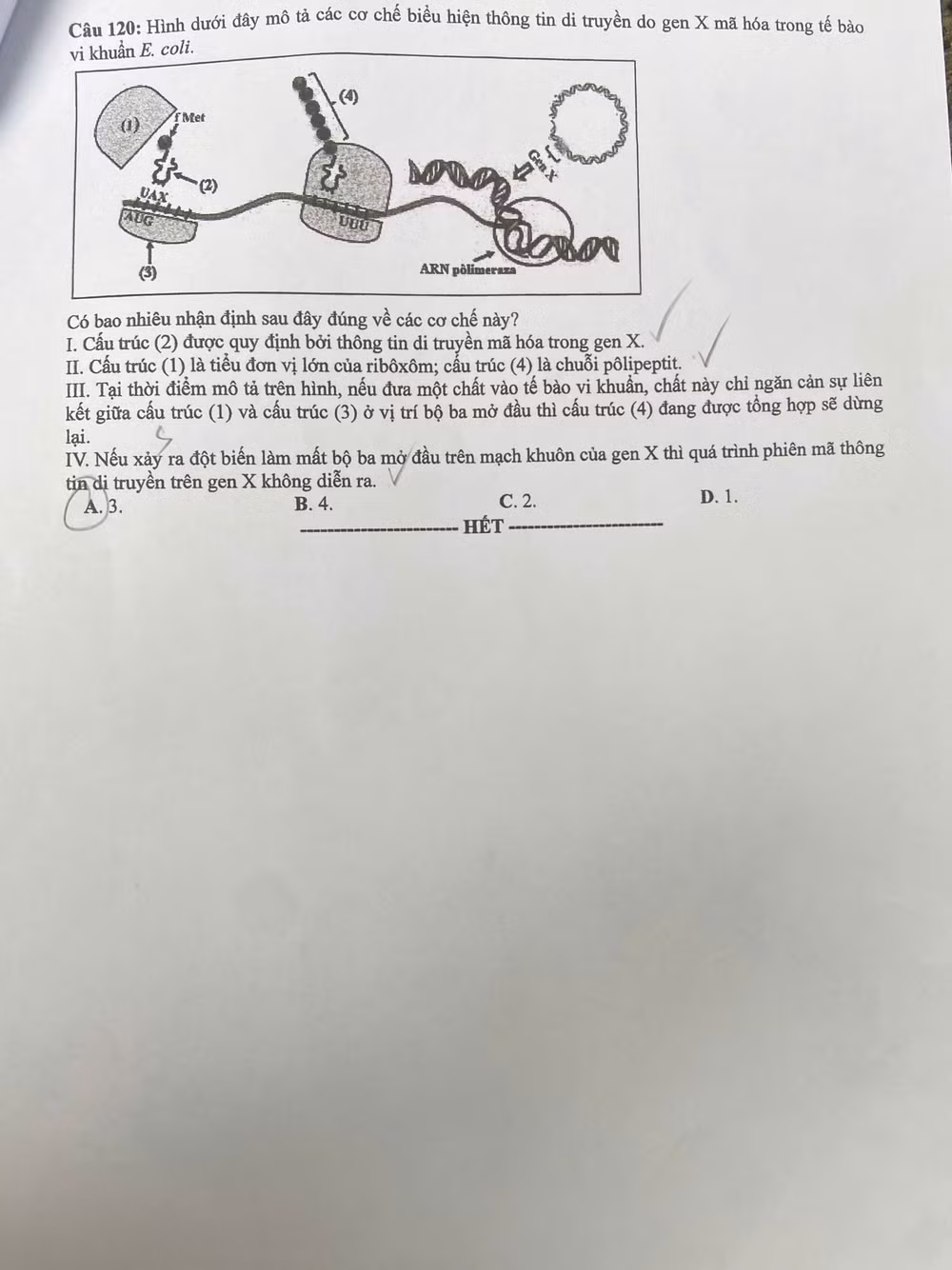 z6748654120689-8af69a5b328e83ca534eede8c7c565e3.jpg