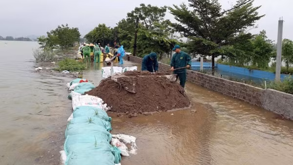 Lực lượng chức năng và người dân xã Trần Phú (Hà Nội) đắp đê chống tràn.