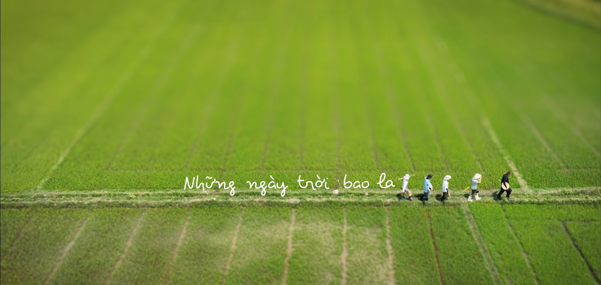 hinh-anh-tu-mv-ca-khuc-chu-de-nhung-ngay-troi-bao-la.jpg