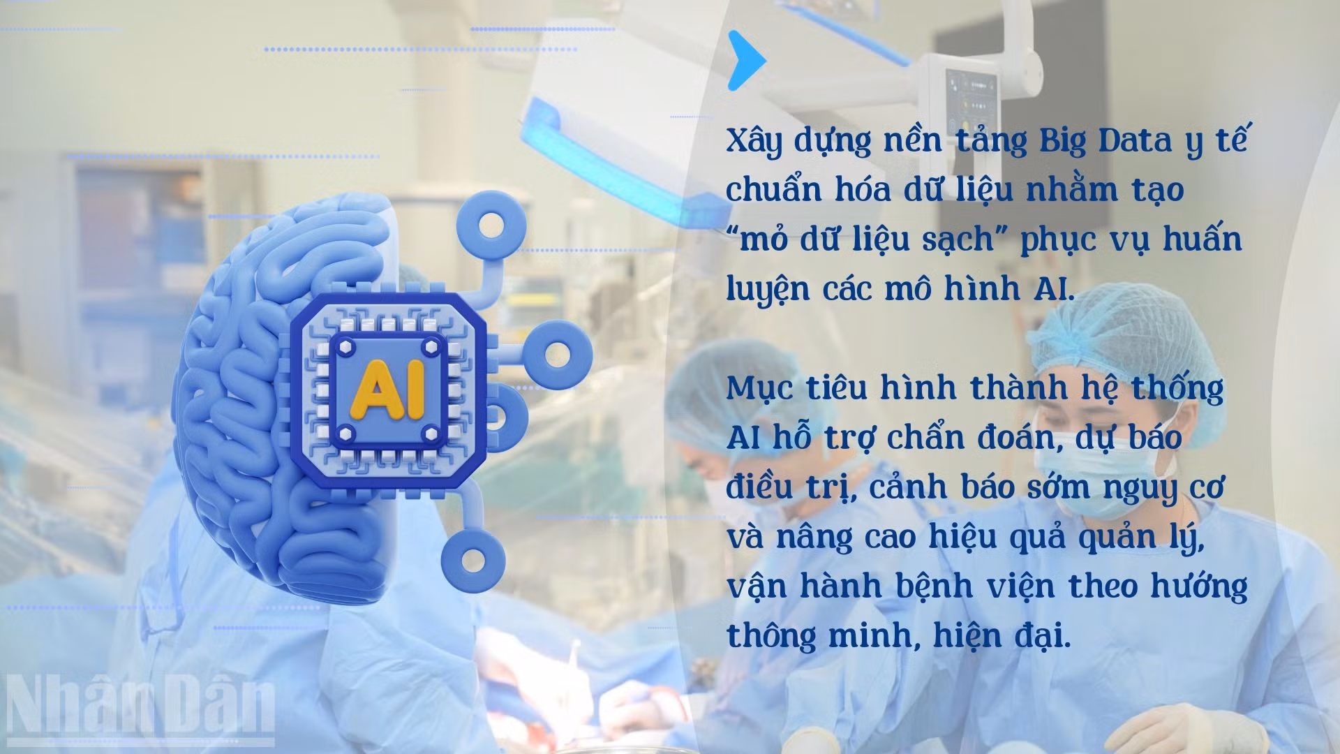 ndo_bl_12.jpg