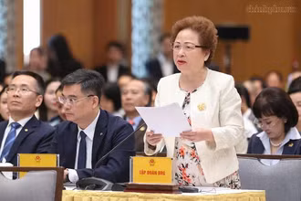 Bà Nguyễn Thị Nga, Quyền Chủ tịch Hội Doanh nhân Tư nhân Việt Nam, Chủ tịch Tập đoàn BRG.