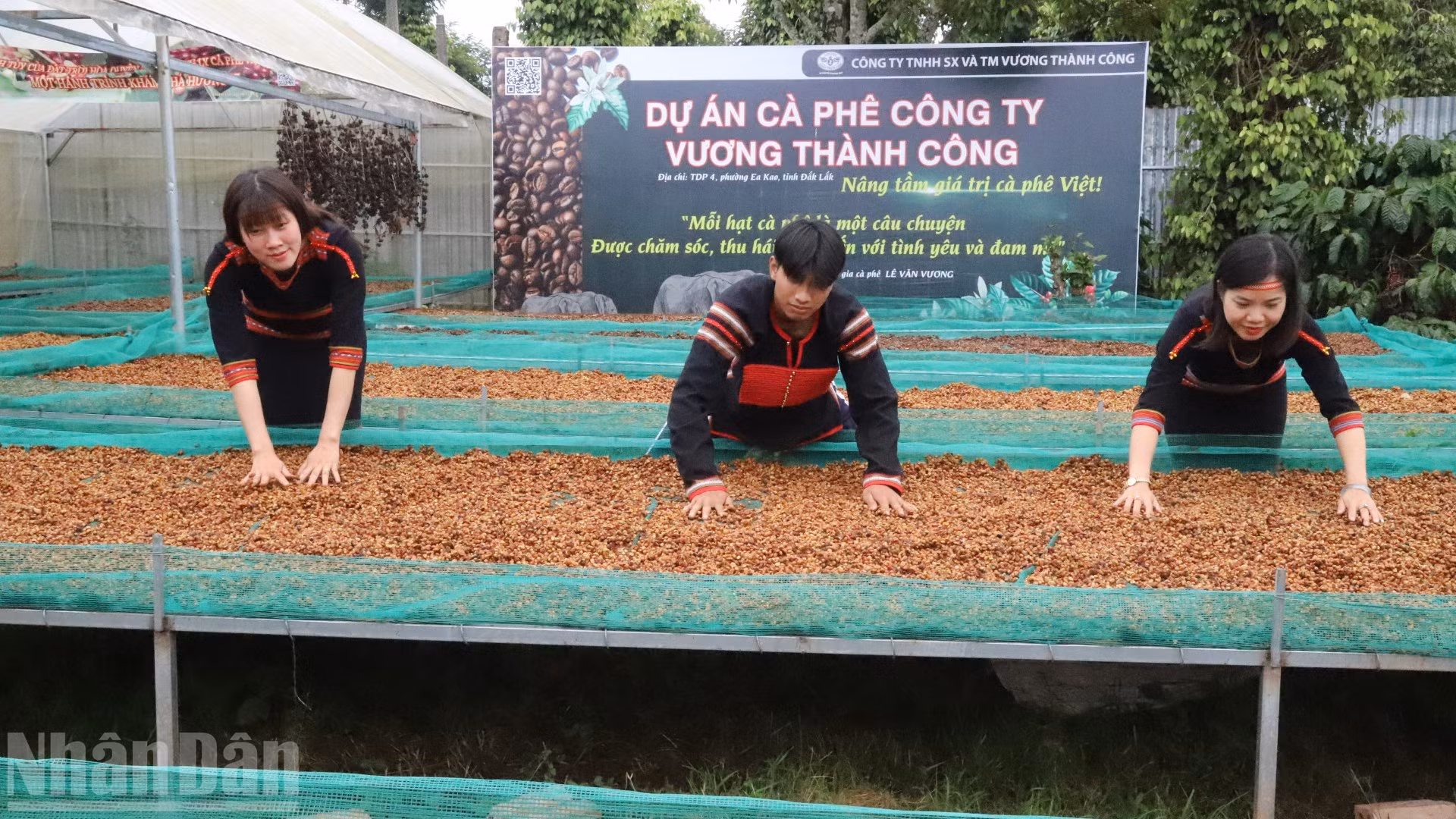 ndo_bl_img-0235-8628.jpg