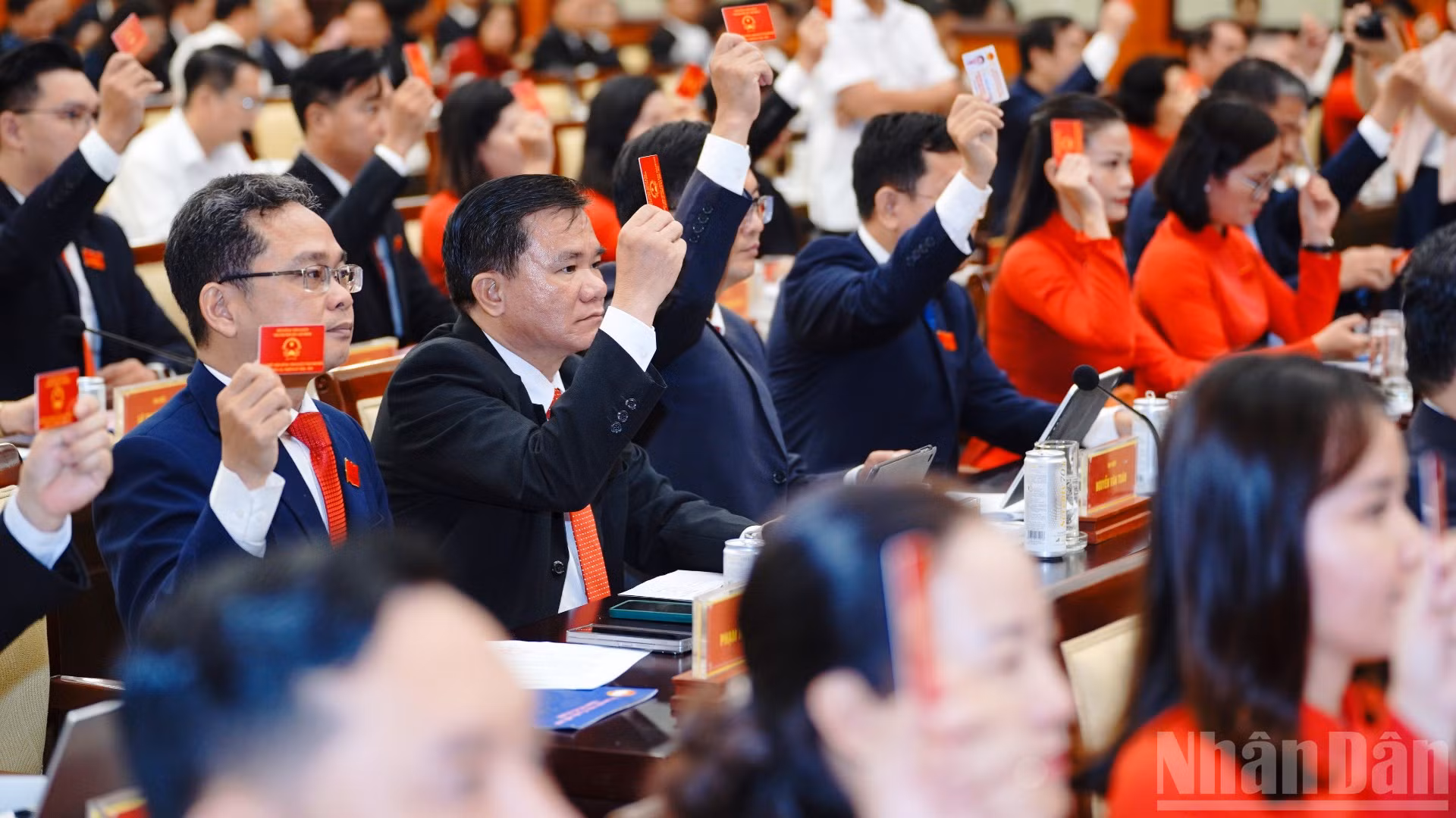 ndo_br_bieu-quyet-6045.jpg