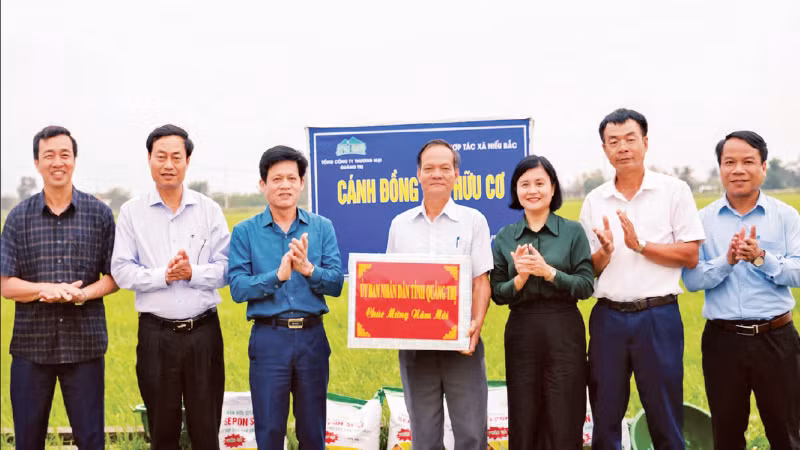 Lãnh đạo tỉnh Quảng Trị và Sở Nông nghiệp và Môi trường thăm mô hình liên kết sản xuất lúa hữu cơ tại xã Hiếu Giang.