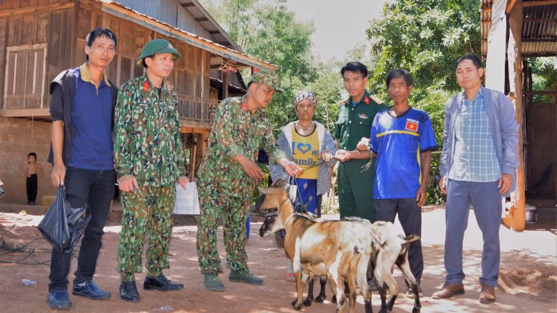 Tiến hành hỗ trợ cây, con giống cho nhân dân các xã trong vùng dự án phát triển kinh tế, xóa đói giảm nghèo.